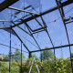 Serra da giardino Jubii 60 da 10,9 m² in alluminio nero e vetro temperato da 3 mm - Juliana