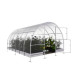 Serra da giardino Klasika Easy Garden da 12 m² in acciaio zincato e pannelli in policarbonato da 4 mm