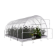 Serra da giardino Easy da 18 m² in acciaio zincato e pannelli in policarbonato da 4 mm - Klasika 