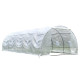 Serra a tunnel per orto BIANCA 3x8m con copertura in PE rinforzato - Green Protect