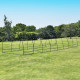 Serra a tunnel per orto BIANCA 4x10m con copertura in PE rinforzato - Green Protect