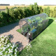 Serra da giardino Slim 200x400 cm in acciaio zincato e pannelli in policarbonato da 4 mm - Klasika