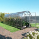Serra da giardino Slim 200x600 cm in acciaio zincato e pannelli in policarbonato da 6 mm - Klasika