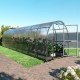 Serra da giardino Slim 200x800 cm in acciaio zincato e pannelli in policarbonato da 6 mm - Klasika