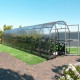 Serra da giardino Slim 200x1000 cm in acciaio zincato e pannelli in policarbonato da 4 mm - Klasika